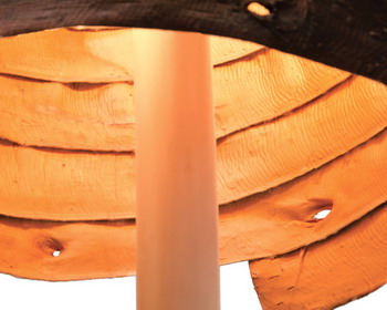 На один шаг ближе к природе: напольная лампа «Stripped» от дизайнера Floris Wubben