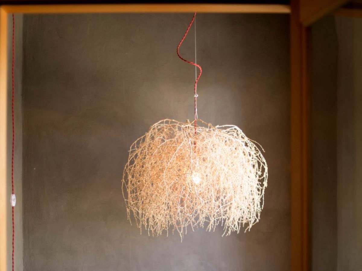 Подвесной светильник «Marfa Tumbleweed Light» из растения «перекати-поле»